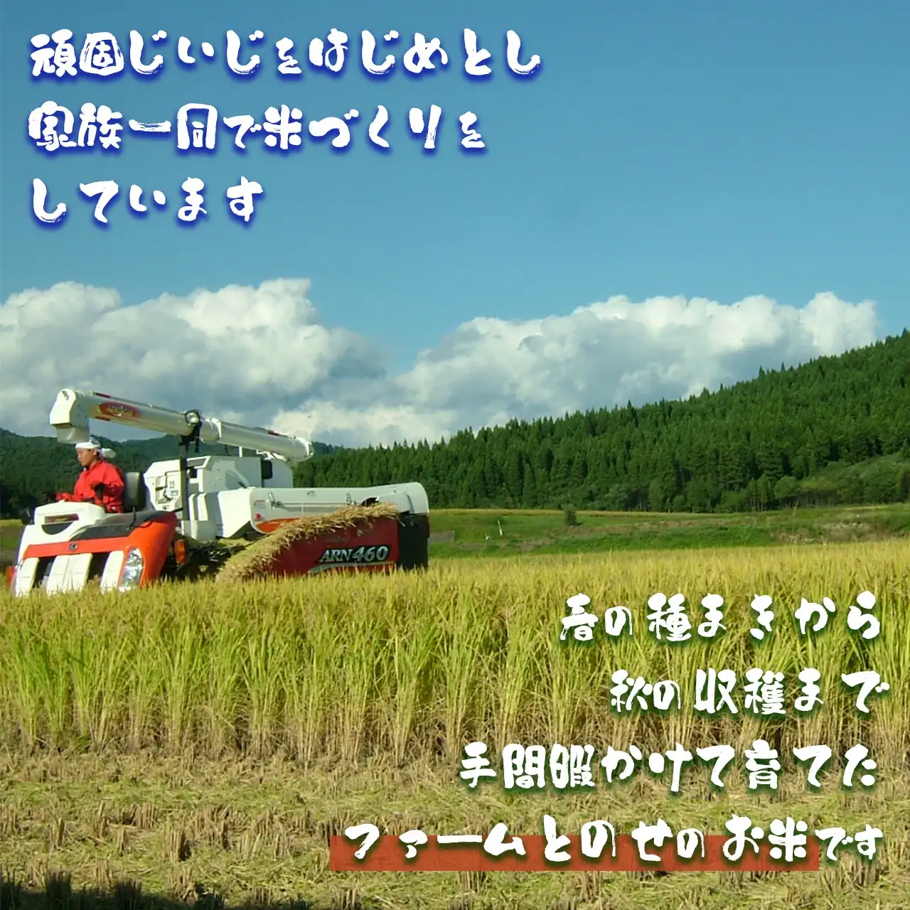 【令和7年産】ファームとのせ「ミルキークイーン 5kg」　85P9002