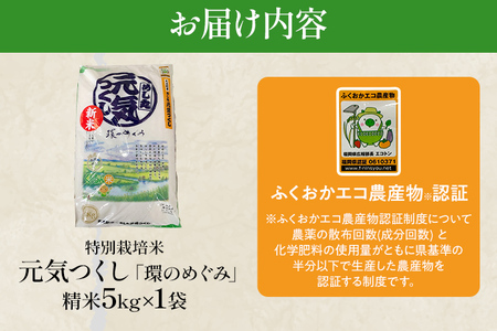 米 特別栽培米「環のめぐみ」5㎏ AI001