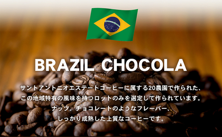 自家焙煎珈琲豆専門店のおうちコーヒー（ブラジルショコラ） 300g コーヒー豆 コーヒー粉  中挽きタイプ