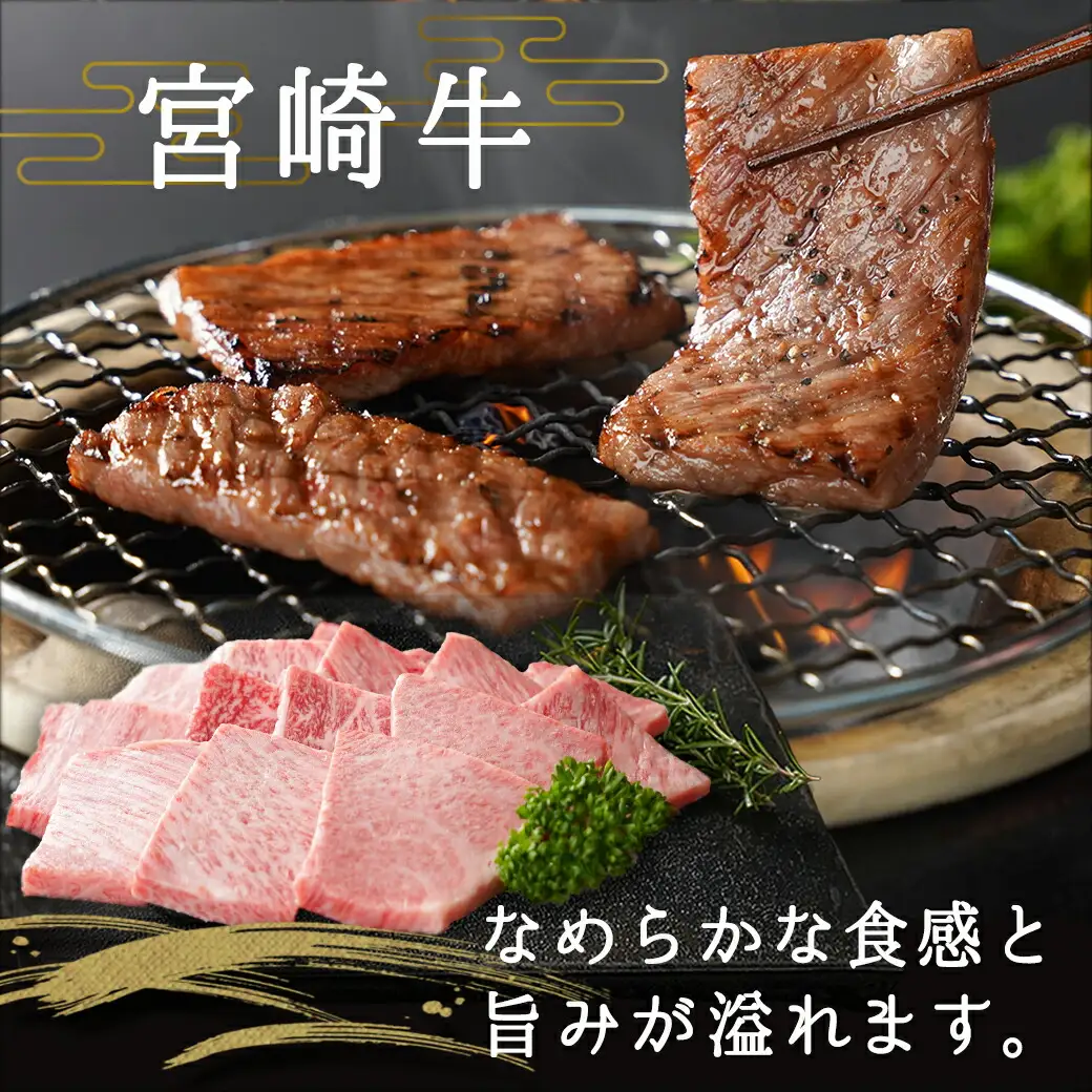 宮崎牛肩ロース焼肉用〔AD-24-002〕_(都城市) 牛肉 田中精肉店 ペッパー付き こしょう 胡椒 コショウ 焼き肉 鉄板焼き バーベキュー BBQ