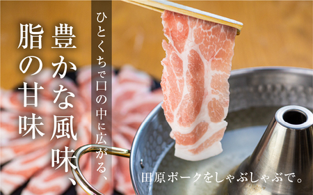 【定期便】スタミナセット定期便  全3回 (うなぎ / 豚肉 / 餃子) 
