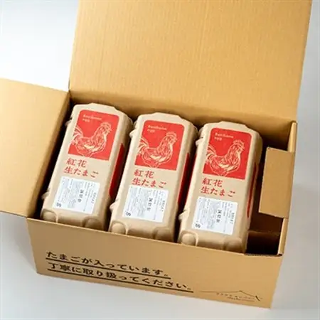 紅花たまご60個セット(川西町)_卵・乳製品 卵  たまご タマゴ 玉子_【1454718】