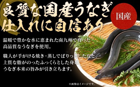 うなぎの蒲焼（1尾）頭付き230g以上　AE01