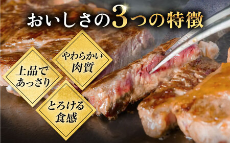 【全6回定期便】 特選 壱岐牛 サーロインステーキ 200g×2枚 《壱岐市》【太陽商事】[JDL090] 冷凍配送 黒毛和牛 A5ランク 肉 牛肉 サーロイン ステーキ サーロインステーキ 赤身 焼肉 焼き肉 定期便 174000 174000円 焼肉用 九州