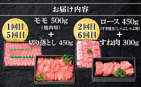 【全8回定期便】 特選 壱岐牛 プラスワン（＋1） 定期便 《壱岐市》【太陽商事】[JDL097] ステーキ サーロイン モモ 焼肉 すき焼き しゃぶしゃぶ 306000 306000円 30万円