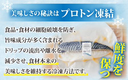 【解凍だけの簡単調理】へしこだしの吟醸トロさば| 海鮮 冷凍食品 へしこ