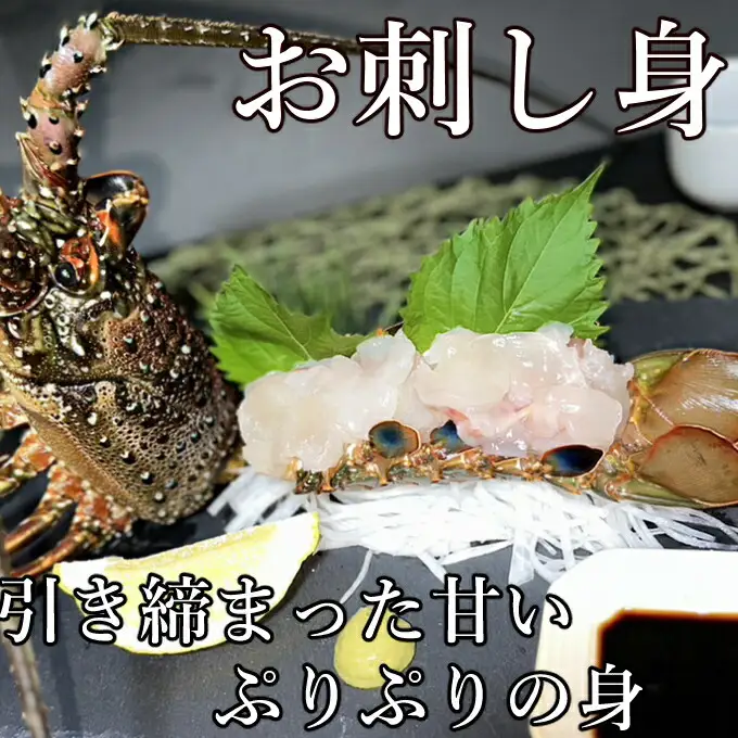 【 予約受付 令和8年9月16日以降発送 】活伊勢海老 (軍手付き) 2～7尾 約2kg【イセエビ 伊勢海老】