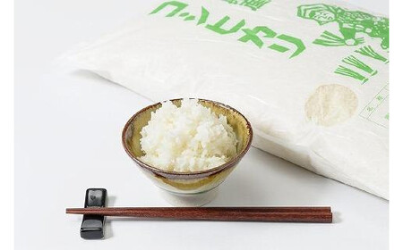 お米マイスターが育てた特別栽培米 精米コシヒカリ 上越産 令和7年産 10kg(5kgx2袋)無洗米