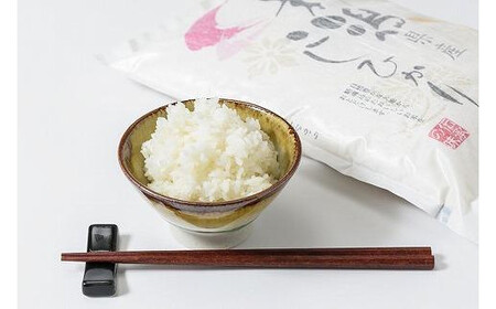 令和7年産 お米マイスターが育てた上越産コシヒカリ4kg(2kg×2)無洗米