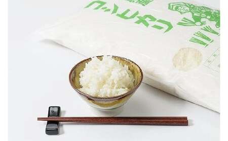 令和7年産 お米マイスターが育てた上越産コシヒカリ10kg(5kg×2)無洗米