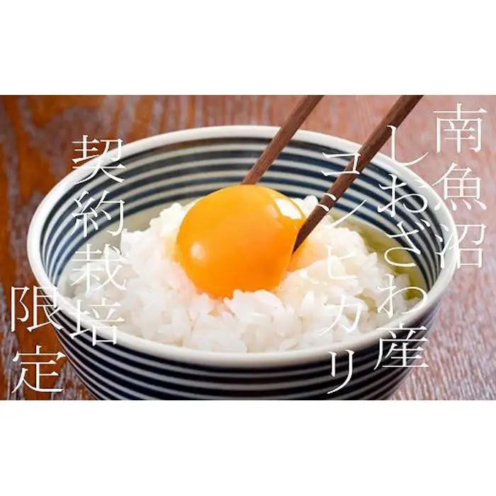 【令和7年産※精米2Kg】契約栽培限定 南魚沼しおざわ産コシヒカリ