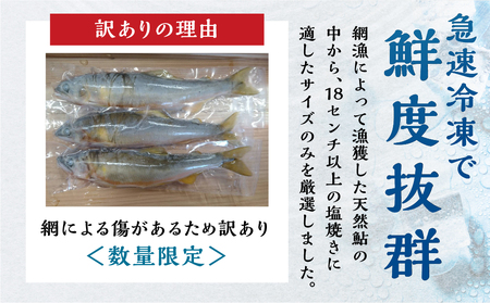 白川村産 飛騨庄川の天然鮎 8尾 18cm以上 訳あり 訳アリ 鮎 天然 あゆ 魚 川魚 岐阜県 白川郷 世界遺産 塩焼き BBQ 15000円 [S595]