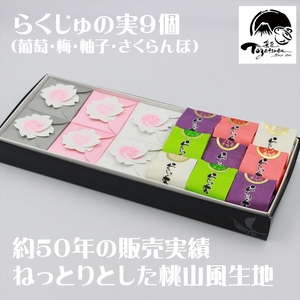 三島ざくら6個・らくじゅの実9個詰め合わせ 和菓子 お菓子 桃山風 栗餡 紫蘇餡 黒糖餡 さくら 桜 カステラ風 饅頭 スイーツ お祝い ご挨拶 ギフト 詰め合わせ 贈答用 祝い