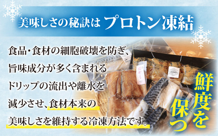 若狭の鯖街道から 鯖づくしセット【急速冷凍】（プロトン凍結）