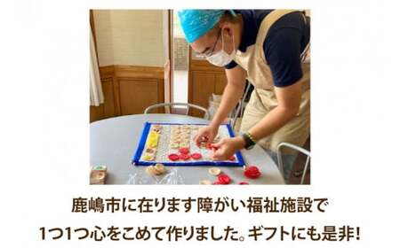 世界に一つだけの布カレンダー（知育教材）（KCQ-4）