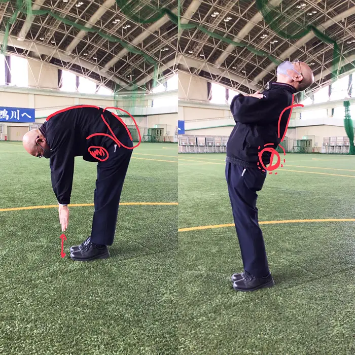 【InBody測定】健康づくり応援！『カラダの見える化』測定券 ×２枚《千葉県鴨川市》InBody 体成分分析 姿勢チェック 健康づくり 健康管理 アドバイス 健康チェック 生活習慣改善 [ウェルネスポーツ鴨川][0010-0319]