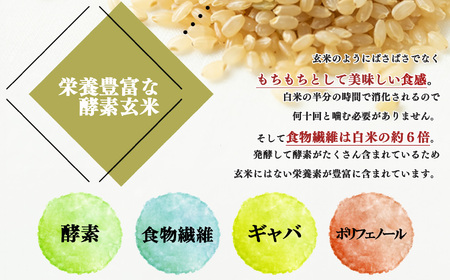 酵素玄米 ごはん ( 長岡式 ) 約 2.4kg | 酵素玄米 長岡式 オーガニックカフェ 奈良県 平群町