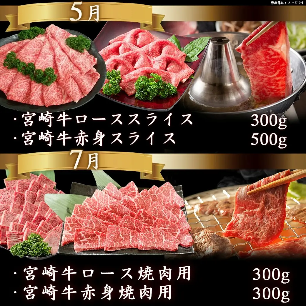 迷ったらコレ!宮崎牛食べ尽くし定期便(10ヵ月)〔T120（10）-0101〕_(都城市)A5 5等級 牛肉 バラ 赤身 サーロインステーキ ヒレステーキ ロース 焼き肉 しゃぶしゃぶ すき焼き スライス 切り落とし