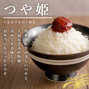 ≪令和7年産≫ 登米市産 つや姫 10kg(5kg×2袋) 冷蔵米 お米 おこめ 米 コメ 白米 ご飯 ごはん おにぎり お弁当 佐沼交通株式会社【楽らく館】tm474