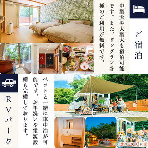 台ケ森温泉 山野川旅館 DogVillage台ケ森 施設利用券 3,000円分 ドッグラン 宿泊 日帰り温泉 温泉旅館 ペット 大型犬 中型犬 小型犬 カフェ【山野川旅館】ta196