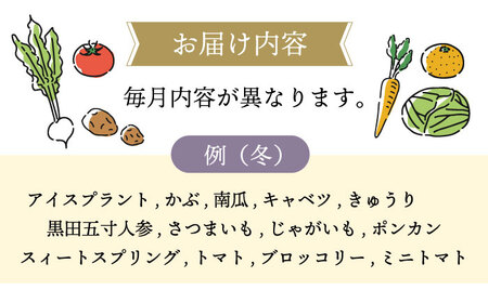 【12回定期便】野菜果物定期便コース / 便利な定期便 バラエティ定期便 フルーツ 定期 野菜セット 野菜 定期便 果物 くだもの フルーツ フルーツ定期便 / 大村市 / おおむら夢ファームシュシュ[ACAA092]