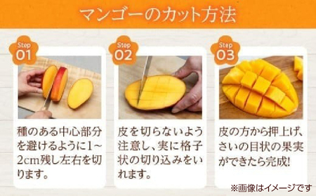 数量限定 完熟マンゴー 3L×2玉 フルーツ 果物 くだもの 国産_DD8-23