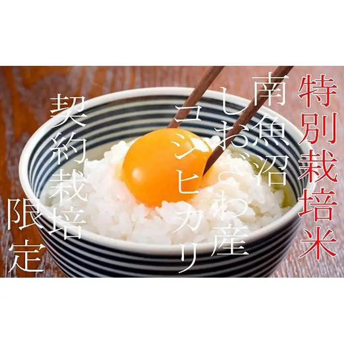 【令和7年産】【定期配送６Kg×１２ヶ月】特別栽培 生産者限定  南魚沼しおざわ産コシヒカリ【定期便 銘柄米 ブランド米 精米 こしひかり コシヒカリ 魚沼産 新潟米 産地直送 お米 米 こめ コメ ご飯 御飯 ごはん】