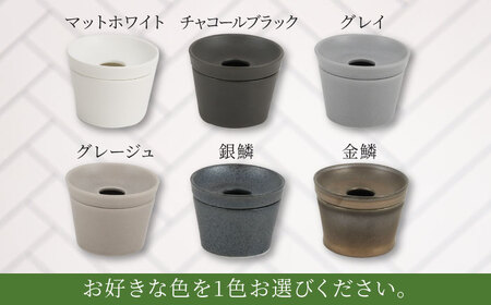 【美濃焼】＜色が 選べる＞COPO（ジェラート）植物付き【大東亜窯業】インテリア 雑貨 観葉植物 多肉植物 サボテン グリーン 水で育てる 省スペース 手軽 簡単 初心者 写真映え かわいい おしゃれ [MAG073]