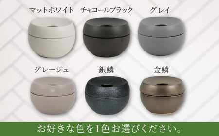 【美濃焼】＜色が 選べる＞COPO（球）植物付き【大東亜窯業】インテリア 雑貨 観葉植物 多肉植物 サボテン グリーン 水で育てる 省スペース 手軽 簡単 初心者 写真映え かわいい おしゃれ [MAG075]