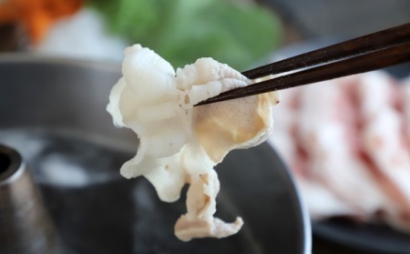 京丹波ぽーく プレミアム しゃぶしゃぶ用 500g  [012KT005]