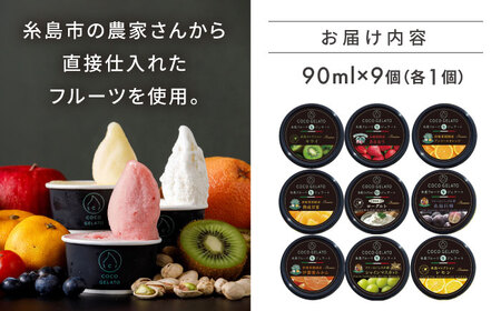 糸島 フルーツ 生ジェラート 9個セット 糸島市 / COCO GELATO [AON001]