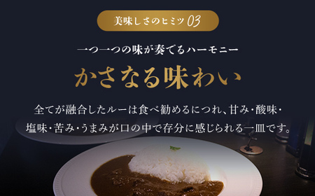 ＜無添加＞但馬牛濃厚とろすじカレー (小箱入り175g×10箱) ふるさと納税 福知山市 但馬牛 カレー 濃厚 とろすじ とろとろ 旨味 素材の味 果物の味 野菜の味 無添加 飛燕 レ・ジロンデル 【fc-DA004】【LES HIRONDELLES（レ・ジロンデル）】