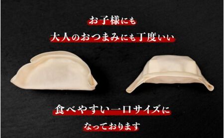 発芽にんにく餃子30個入り 餃子 にんにく にんにくたっぷり 国産にんにく 発芽にんにく 冷凍 臭わない 栄養価抜群 スタミナ 免疫アップ おつまみ おかず 総菜 餃子専門店 ぎょうざ 工場直売 