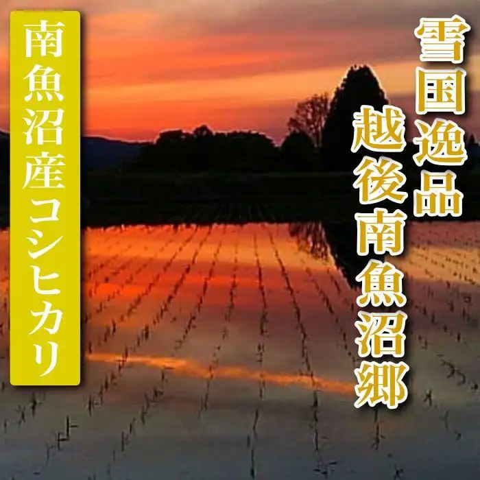 【令和7年産】【精米２０Kg】雪国逸品 越後南魚沼郷 南魚沼産コシヒカリ【銘柄米 ブランド米 精米 こしひかり コシヒカリ 魚沼産 新潟米 産地直送 お米 米 こめ コメ ご飯 御飯 ごはん】