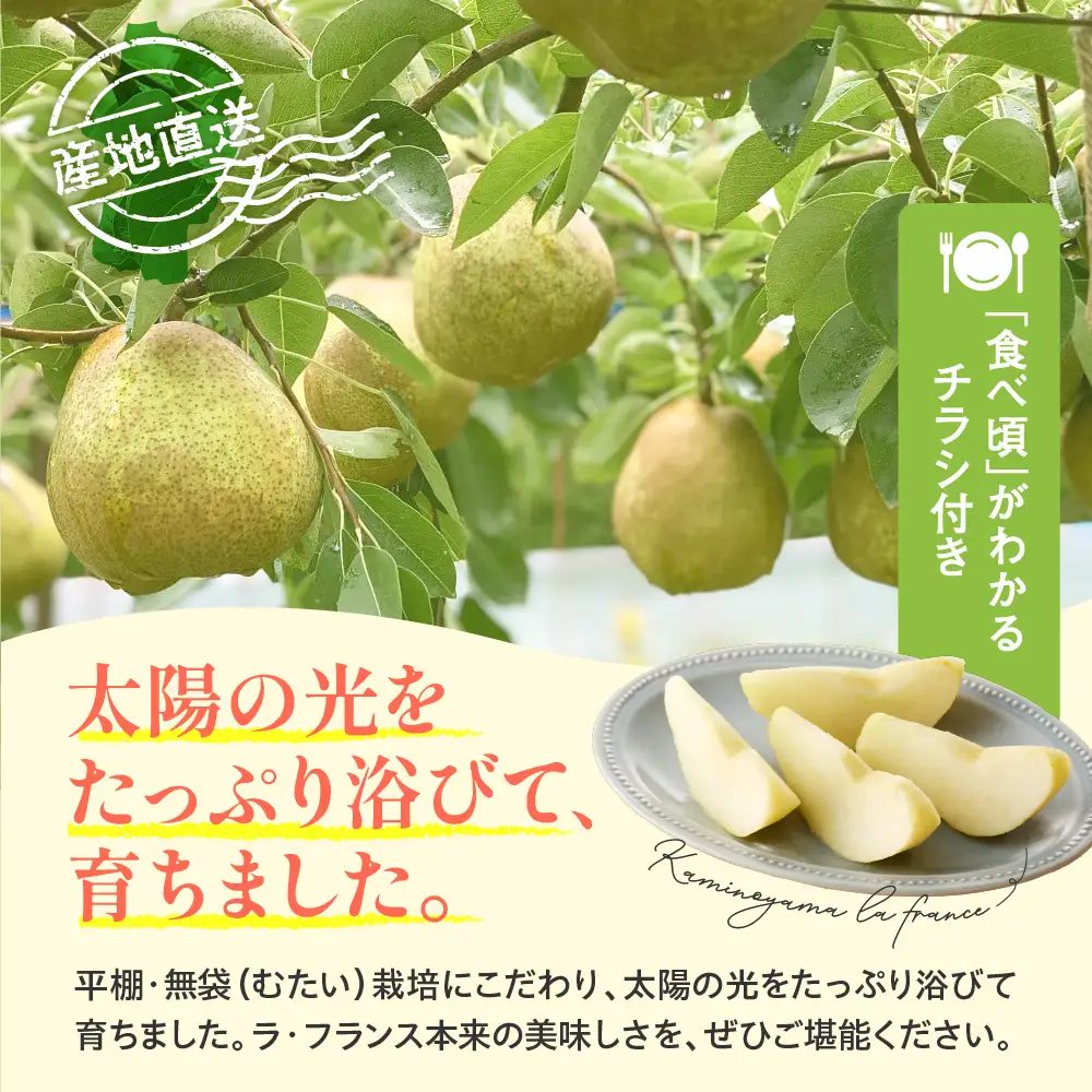 ラ・フランスとふじりんごの詰め合わせ　３ｋｇ　0079-2623