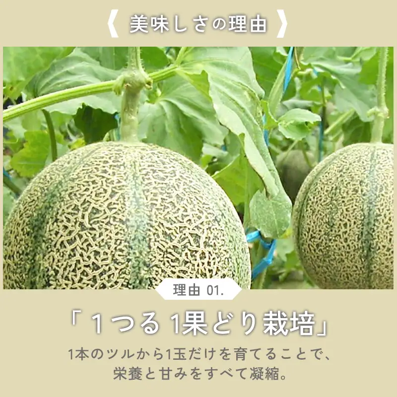 A-1152 糖度14度以上のアムスメロン　高級赤秀品　1玉