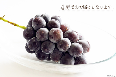 【2026年発送】ぶどう 先行受付 巨峰 約 450g 4房 計約 1.8kg [Inakakara 山梨県 韮崎市 20745261]