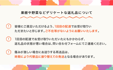 先行予約 有袋黄桃 秀品＆シャインマスカット 品種おまかせ 詰め合わせ 約3kg 令和八年産 2026年産 果物 フルーツ 桃 送料無料 ns-fsosx3 ※沖縄・離島への配送不可