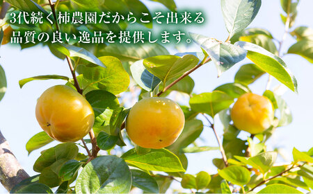 西見柿農園 太秋柿のドライフルーツセット(70g×1袋・20g×4袋)