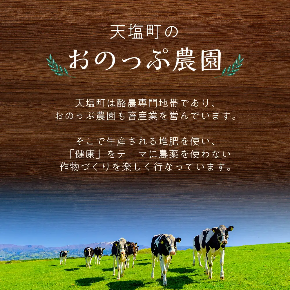 2026年分予約開始★北海道産大玉にんにく1kg《おのっぷ農園》