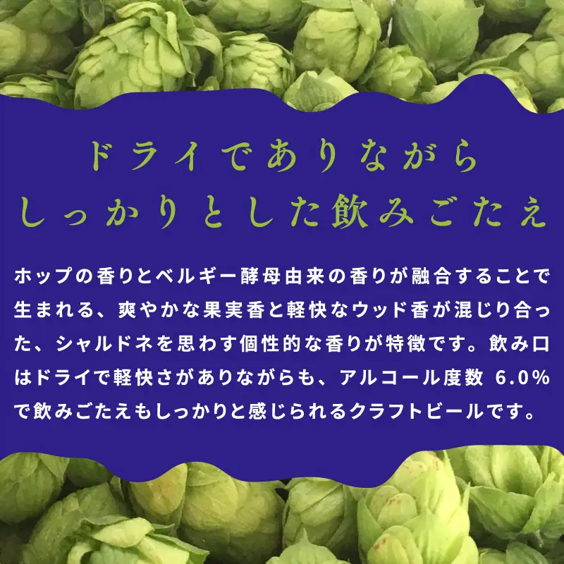 裏通りのドンダバダ 12本