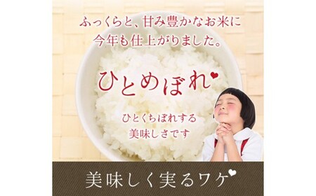 ひとめぼれ無洗米10kg(5kg x2個入れ） 【1815】