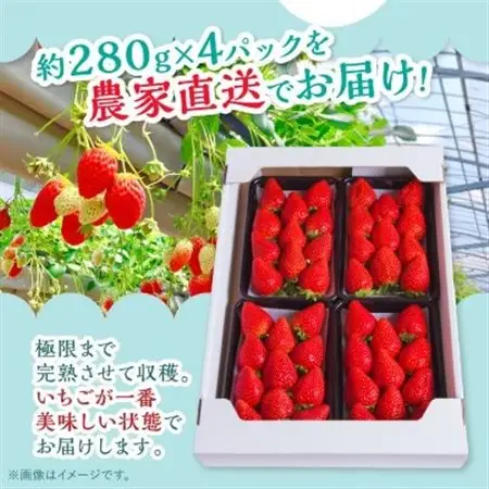 【2026年4月より順次発送】岡山県美作市産　おいCベリー(約280g×4パック)【配送不可地域：離島・北海道・沖縄県】【1464411】