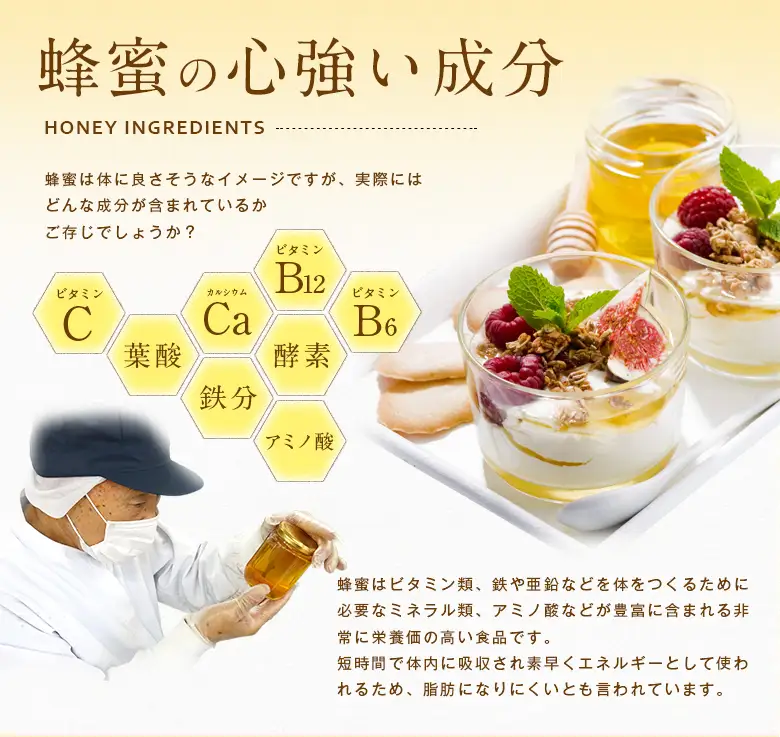 【全3回】 定期便（EU500g×2） かの蜂 純粋蜂蜜 合計3kg（ヨーロピアンセレクション500gを毎月2本お届け） 024-T007