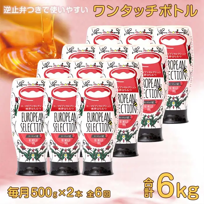 【全6回】 定期便（EU500g×2） かの蜂 純粋蜂蜜 合計6kg（ヨーロピアンセレクション500gを毎月2本お届け） 024-T008