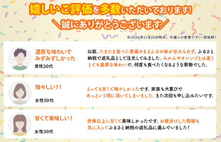 【先行予約】【数量限定】【2027年1月中旬より順次発送】ホリ田ヤ 大三島まどんな 2.5キロ【KB00810】