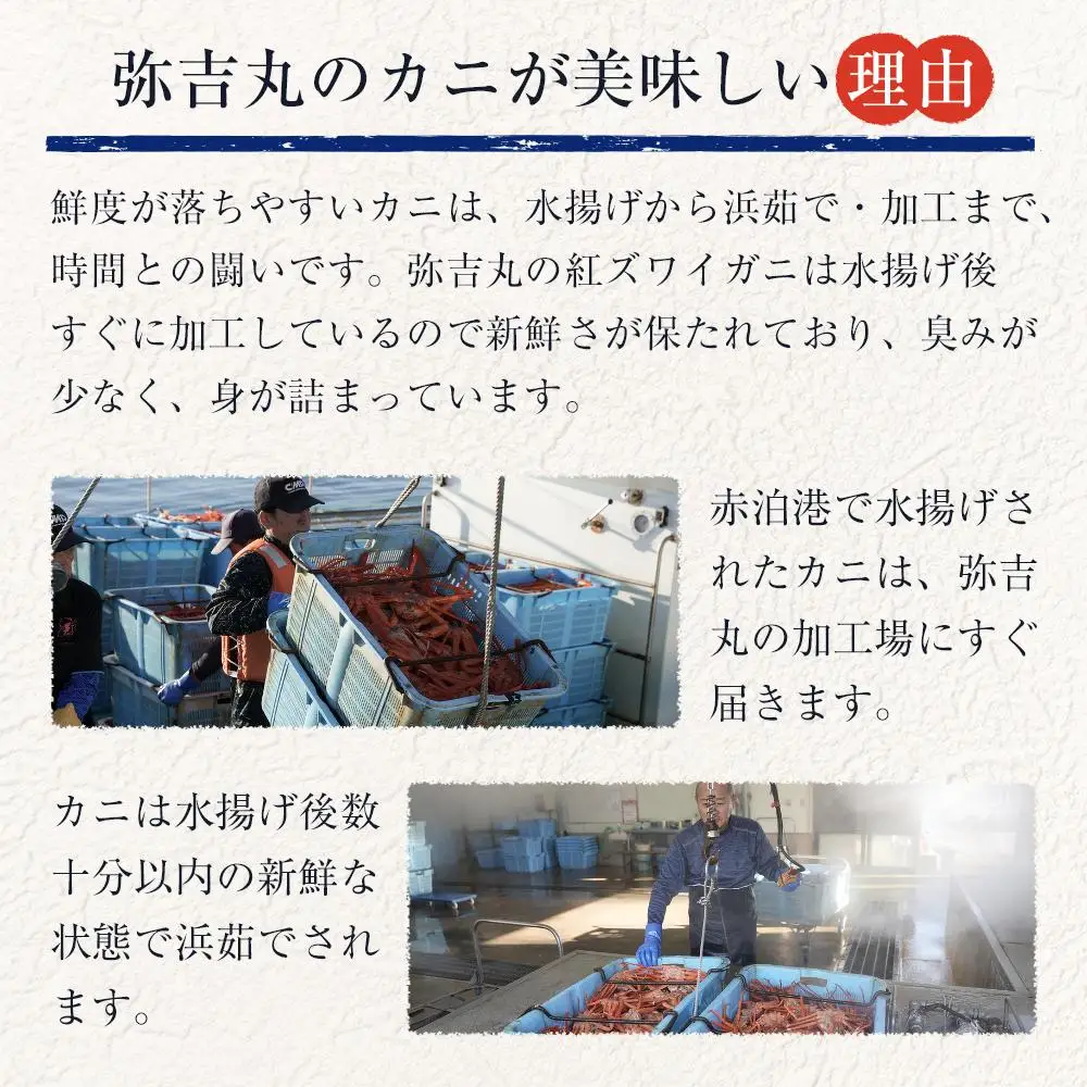 【ふるさと納税】佐渡島直送！浜茹で紅ズワイガニむき身（500ｇ/約20杯分使用）