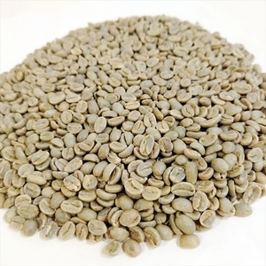 【 定期便 6ヵ月 】 オリジナル ブレンド コーヒー 粉 100g×3袋 コーヒー