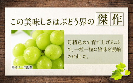【先行予約】シャインマスカット 約2kg1箱（4房から6房） BKCW005 マスカット