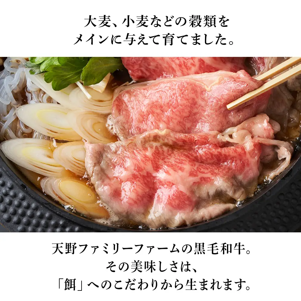 【定期便 12カ月】 北海道 白老産 黒毛和牛 リブロース すき焼き 500ｇ (2・3人前) BS043